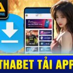 Thabet tải app